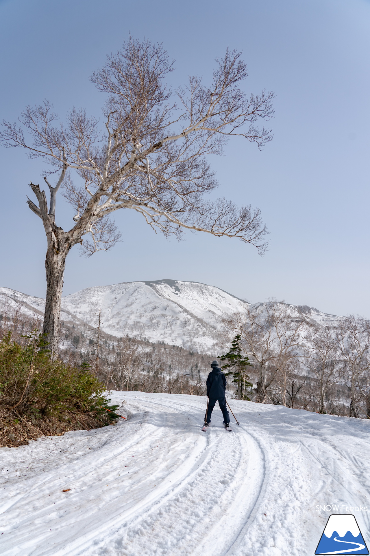 キロロリゾート｜初夏の陽気に耐えて、何とかGWまで持ってくれたキロロの雪…。さぁ、キロロゴンドラに乗って、山頂から山麓まで続く全長4,000ｍ超のロングランを楽しみましょう！